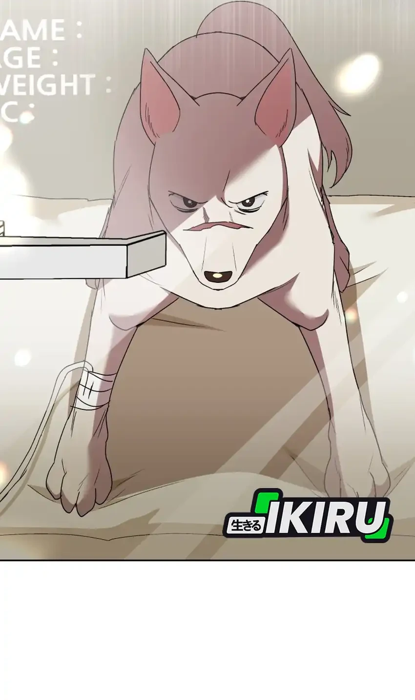 Hello? Veterinarian! Chapter 116 Gambar 20