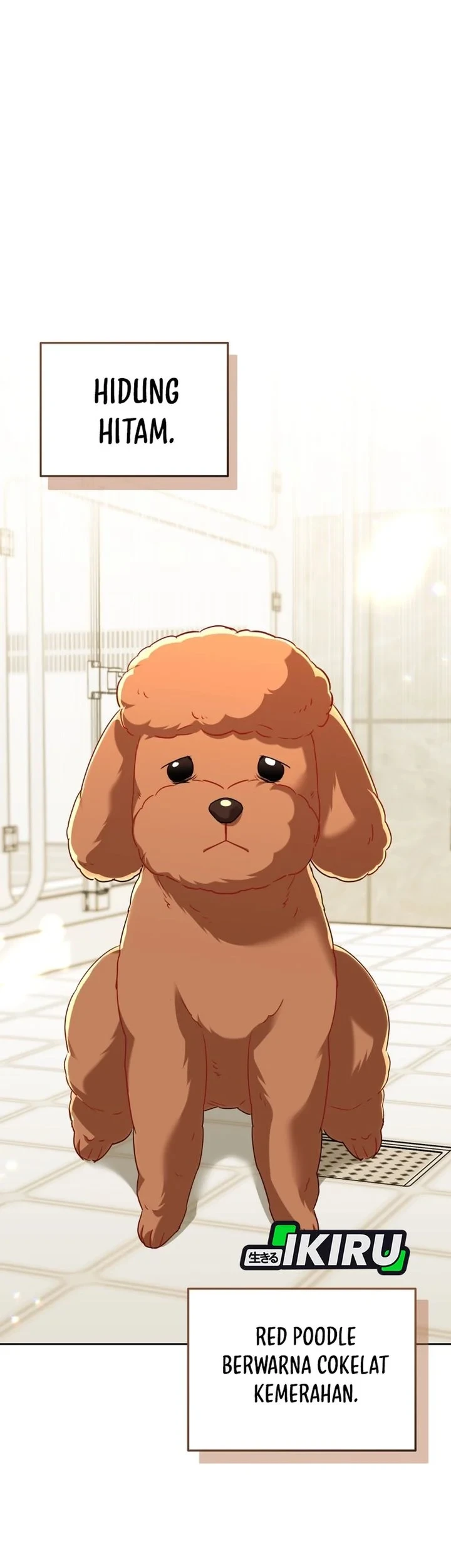Hello? Veterinarian! Chapter 139 Gambar 20