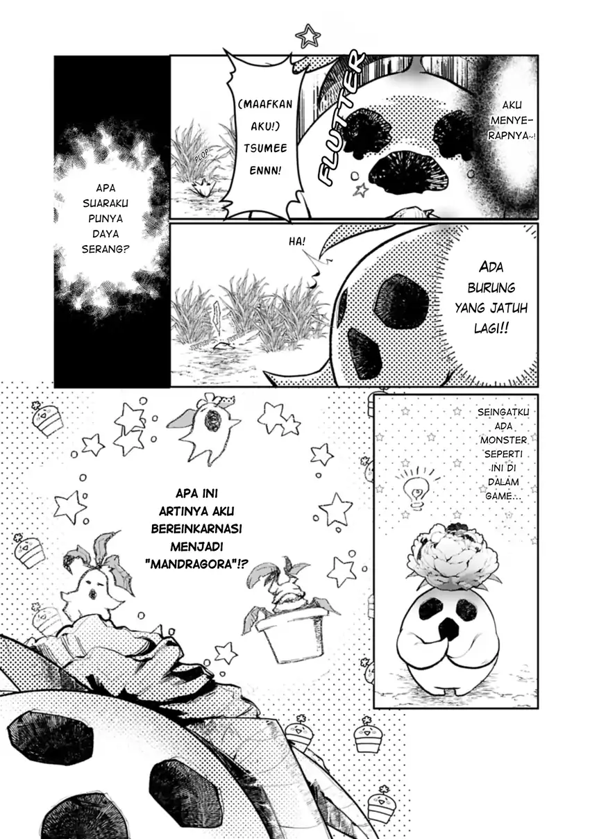 Mandragora tte Baretara Toubatsu desu ka?: Hana no Majo no Hohoemi wa Kanchigai no Tane o Maku Chapter 1 Gambar 12
