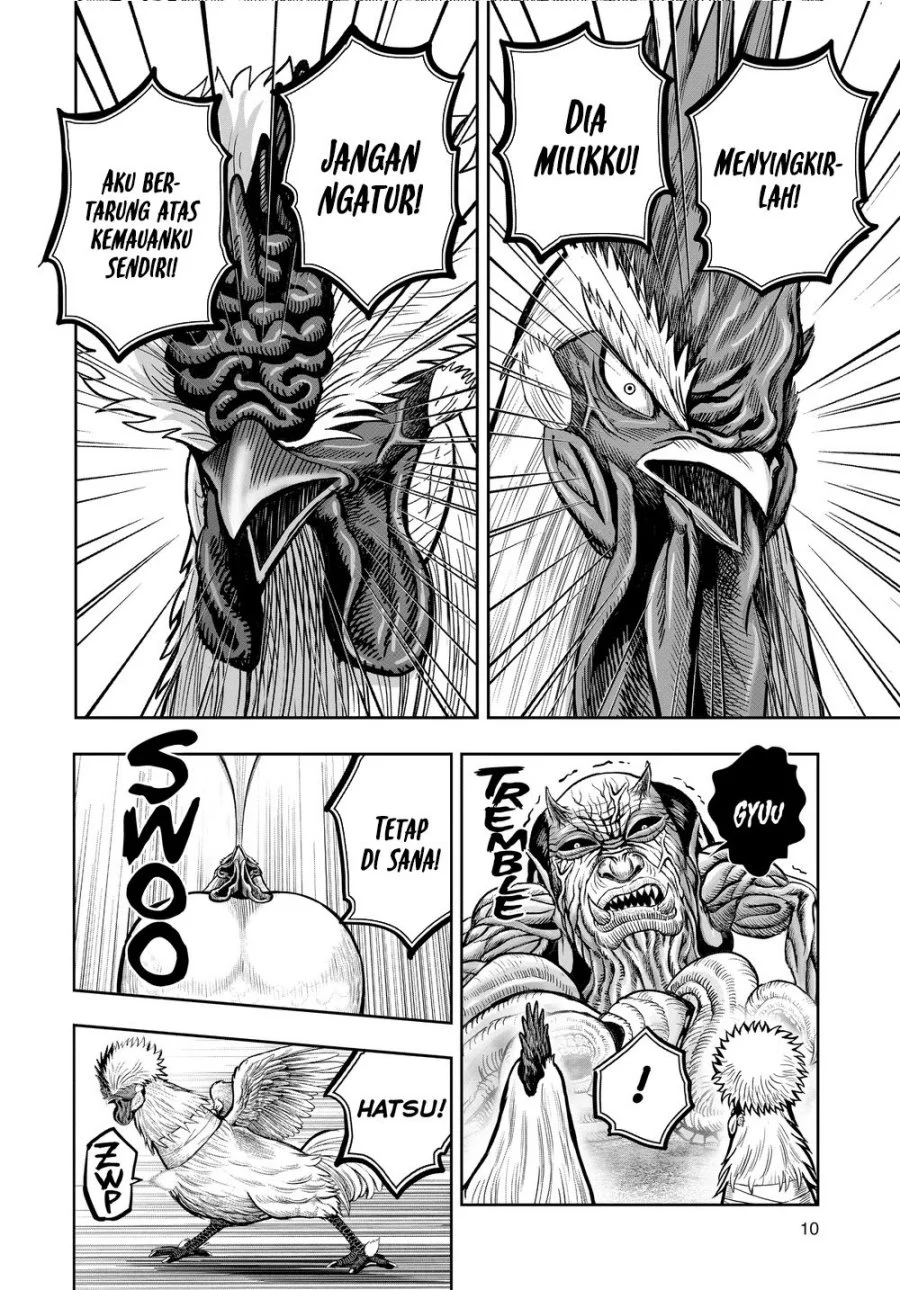 Rooster Fighter Chapter 21 halaman 12