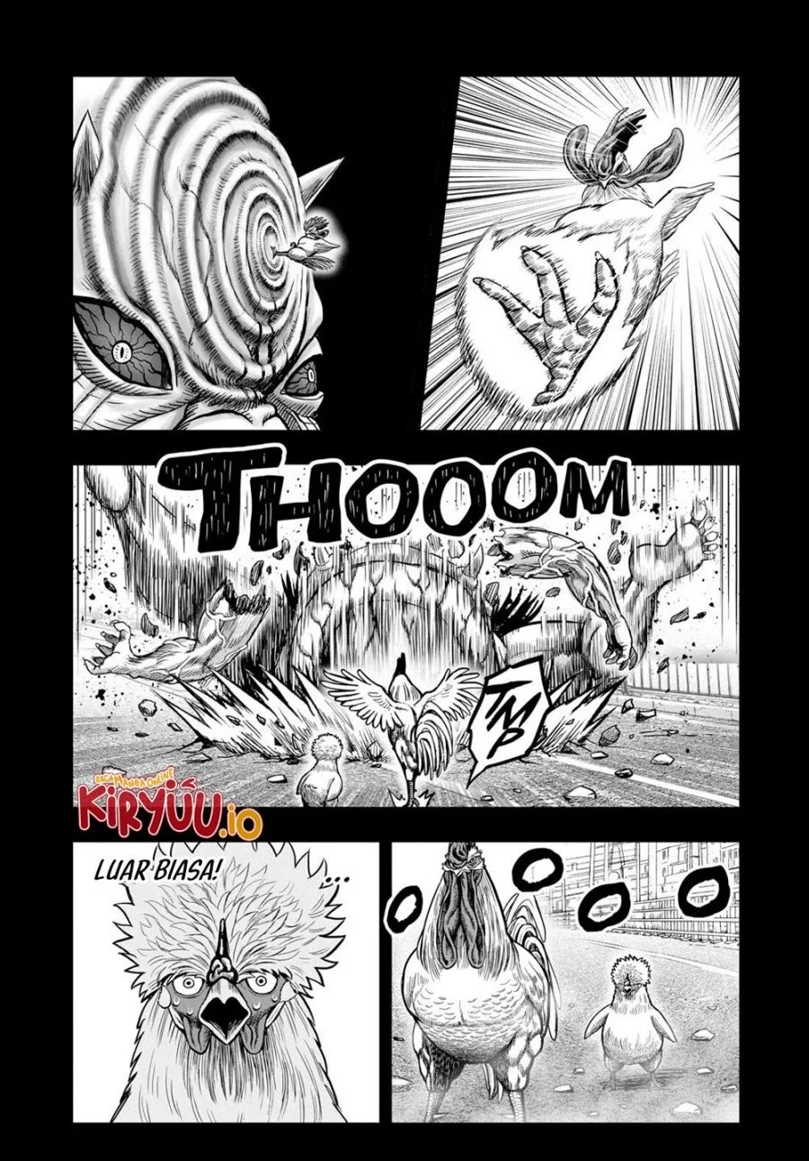 Rooster Fighter Chapter 27 Gambar 14