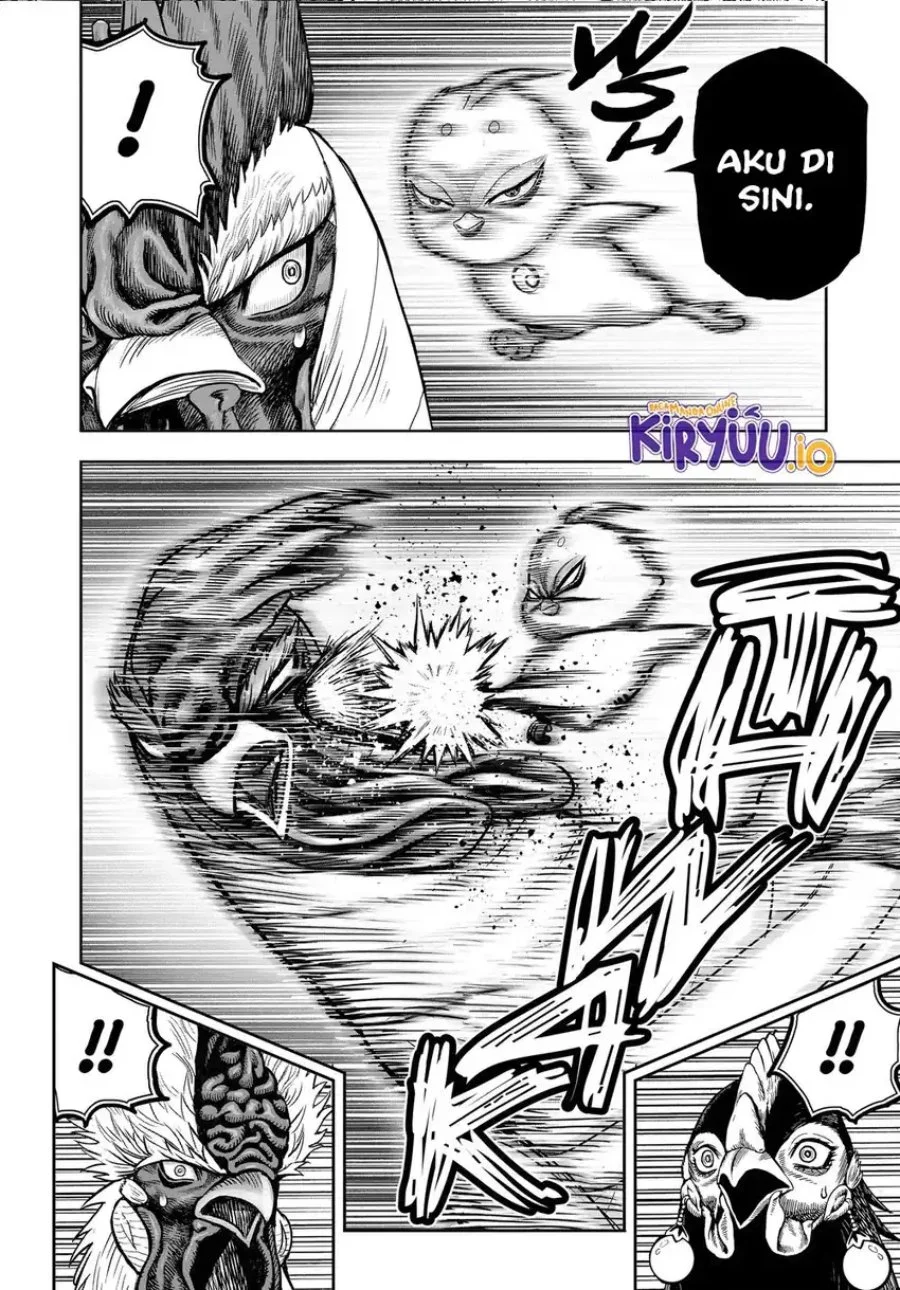 Rooster Fighter Chapter 33 Gambar 11