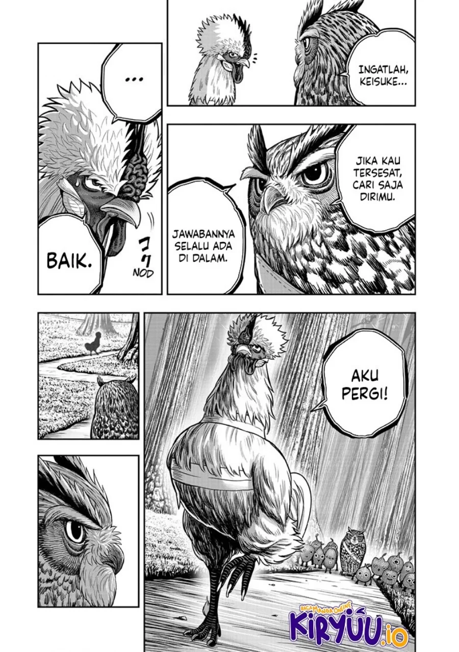 Rooster Fighter Chapter 50 Gambar 13