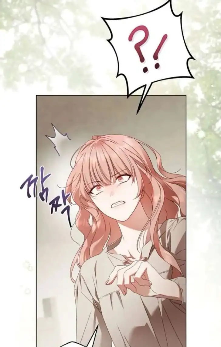 The Count’s Secret Maid Chapter 53 - Halaman 33