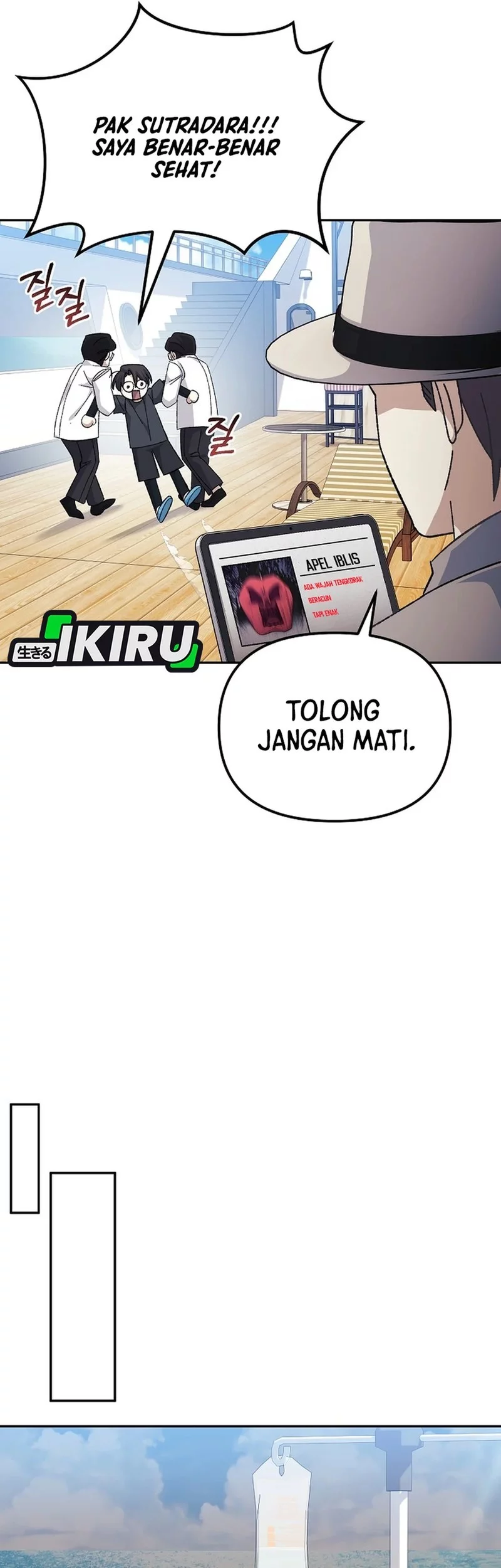 Halaman 17