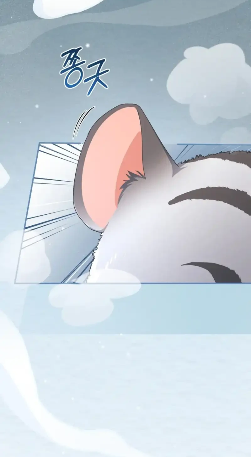 The White Tiger Clan’s Baby Cotton Ball Chapter 10 Gambar 20