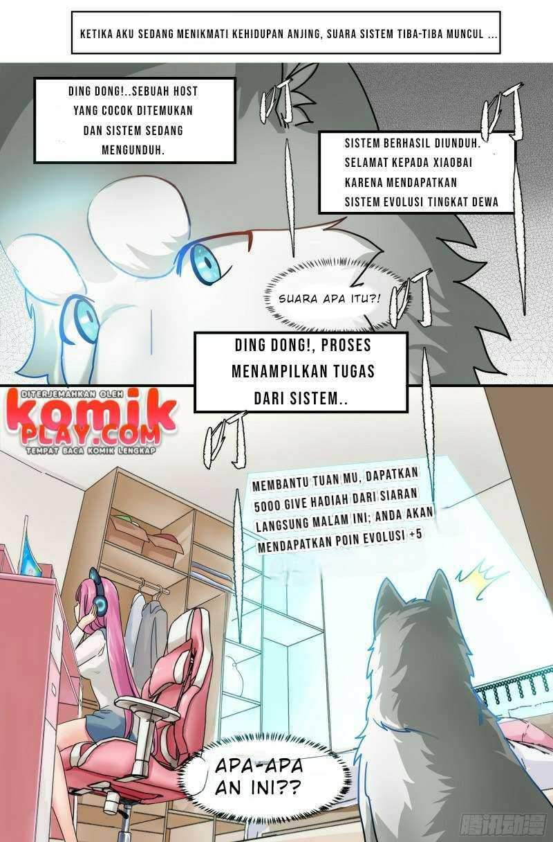 Halaman 6