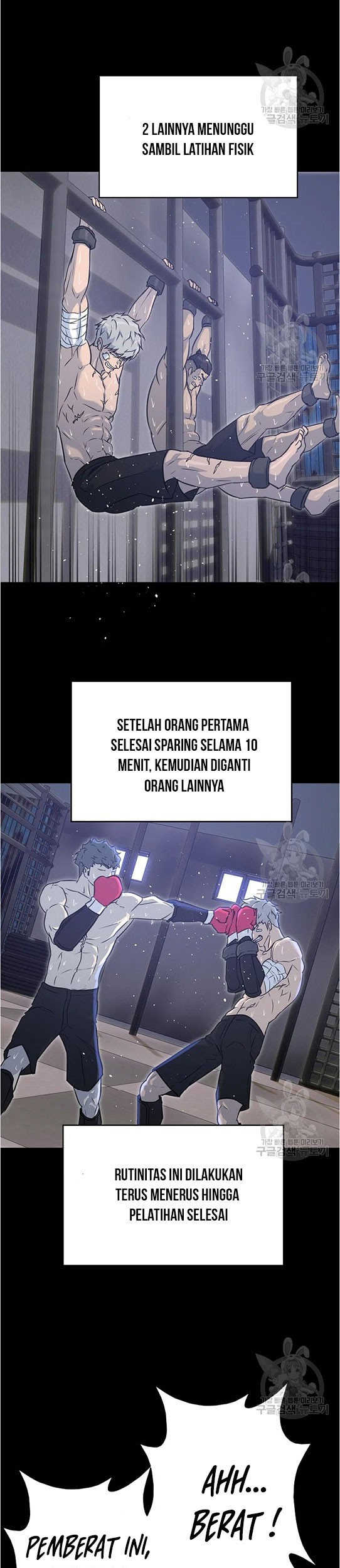 Halaman 17