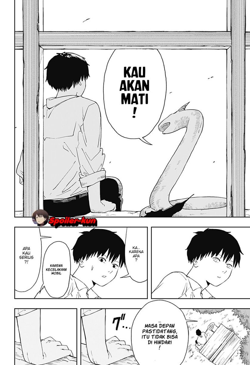 Halaman 17