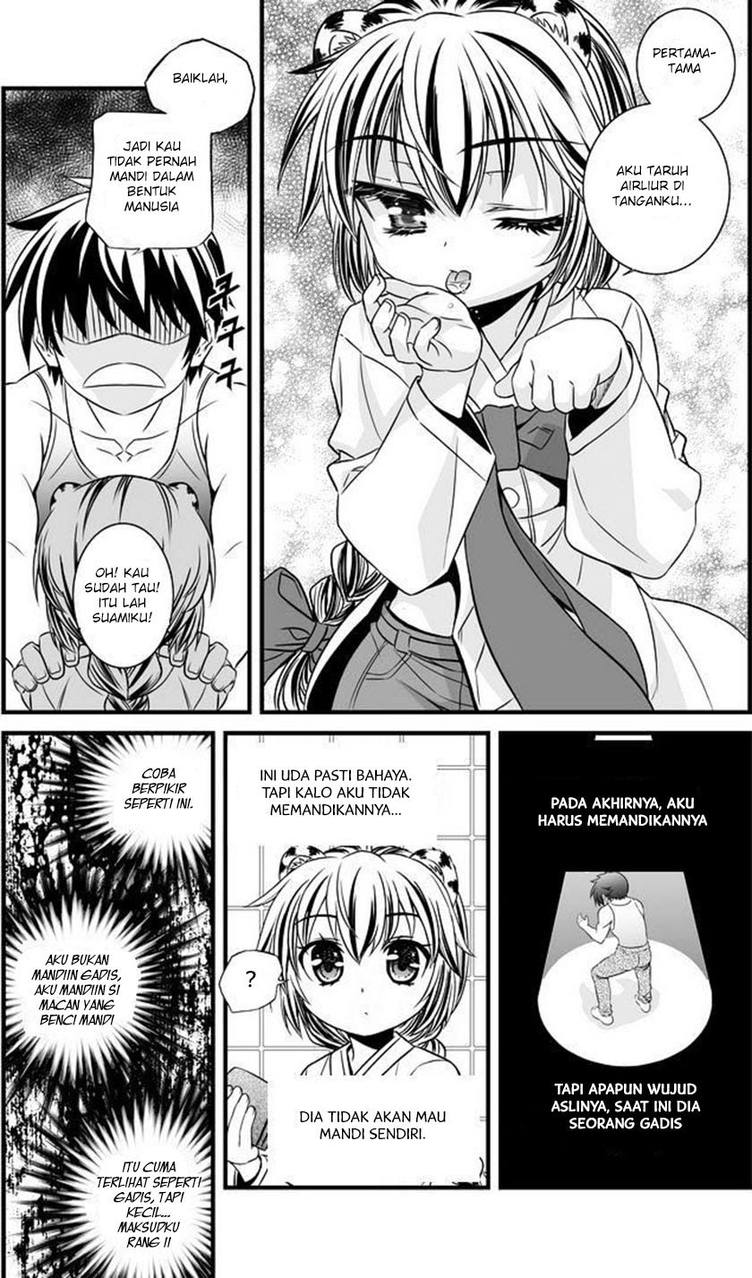 My Love Tiger Chapter 07 Gambar 6