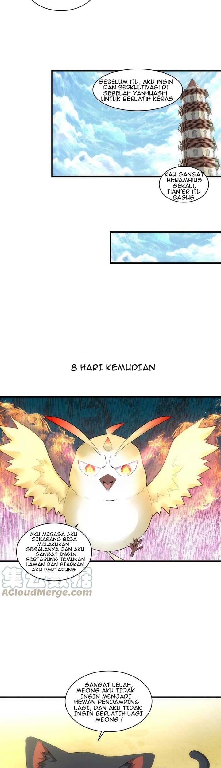Halaman 8