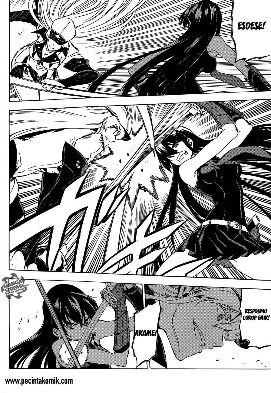 Akame ga Kill! Chapter 55 halaman 8