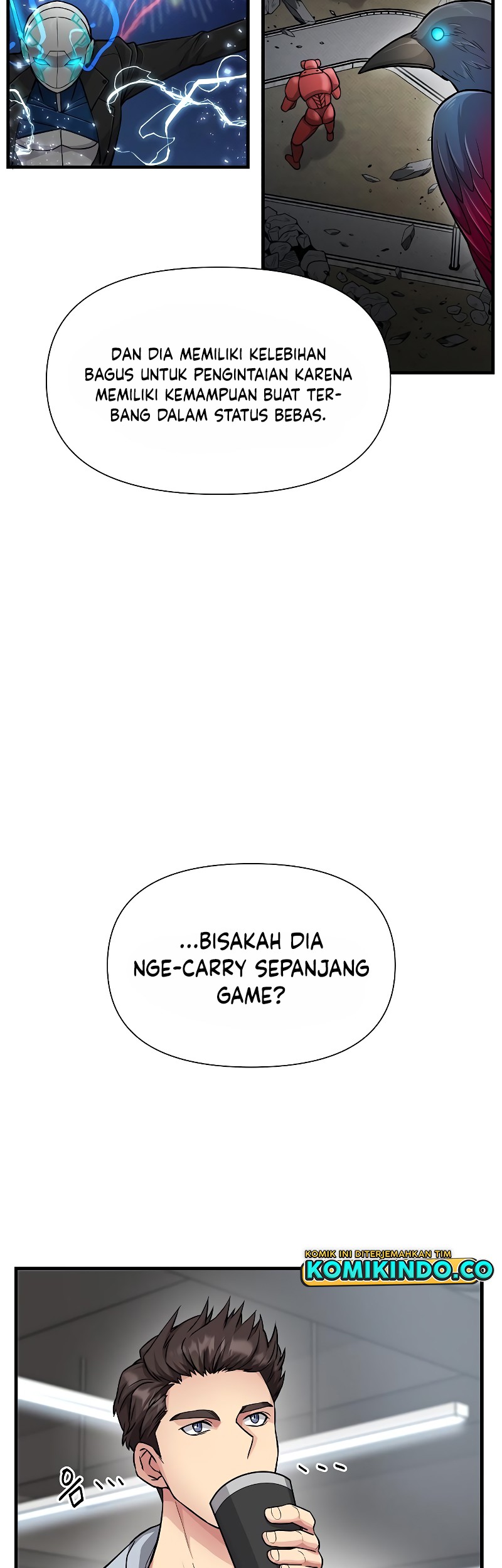 Halaman 17