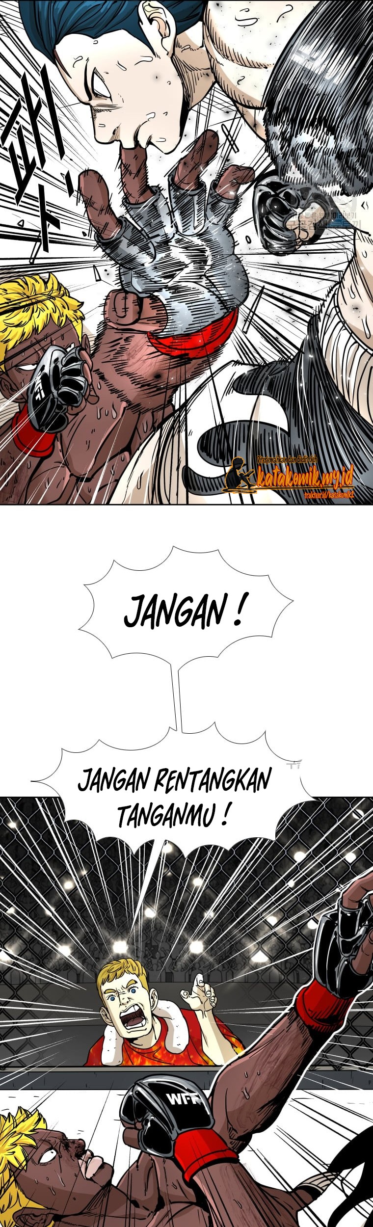 Halaman 17