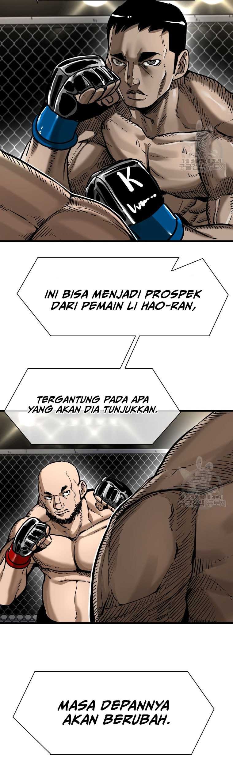Halaman 17