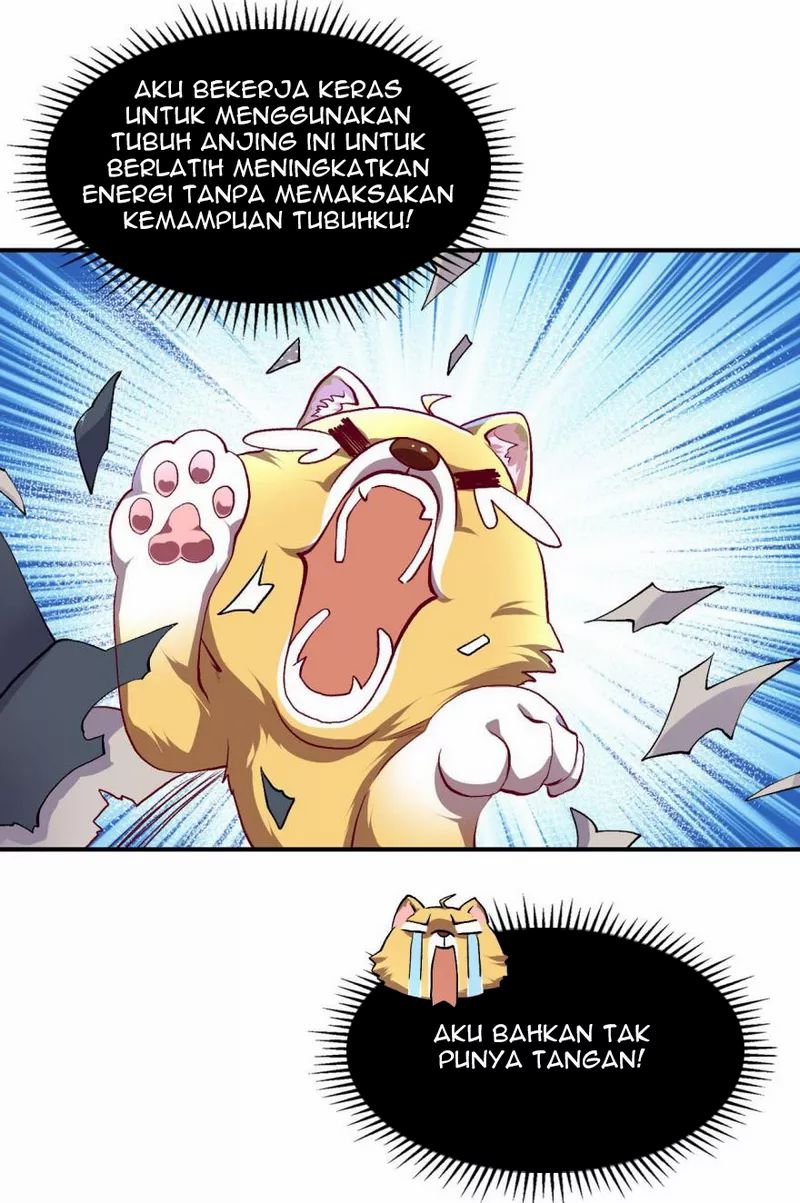 Halaman 17