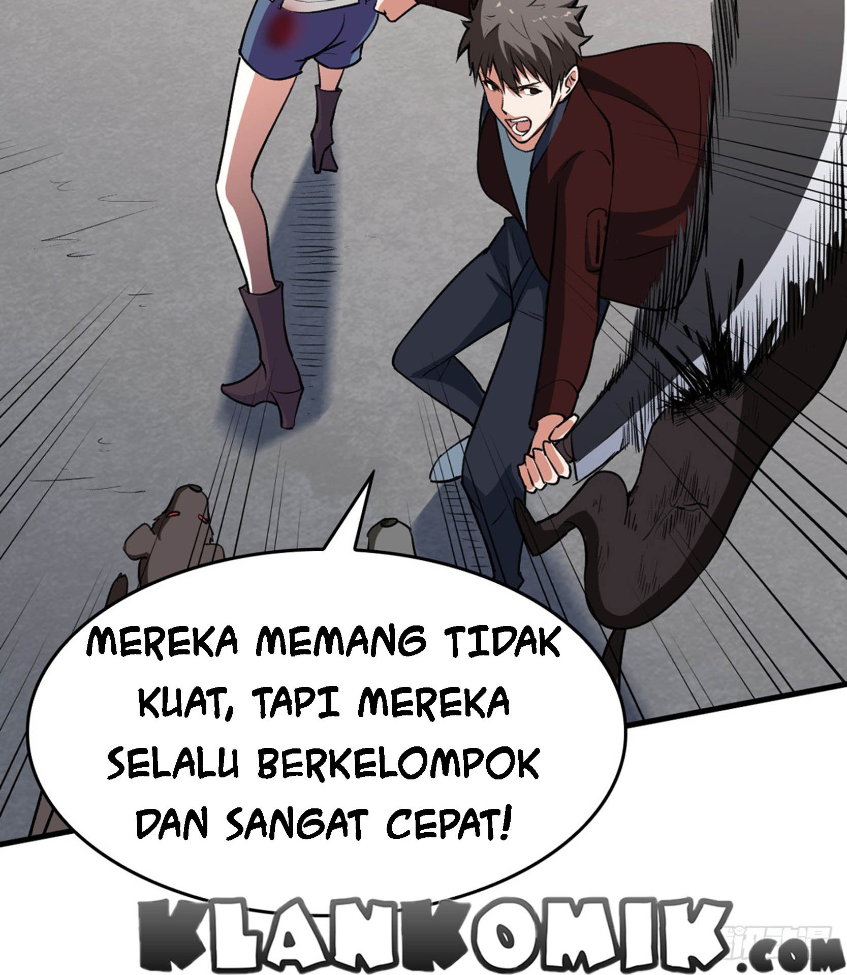 Halaman 17