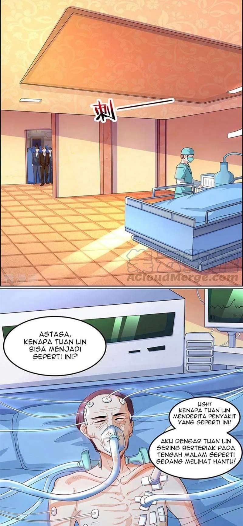 Halaman 8